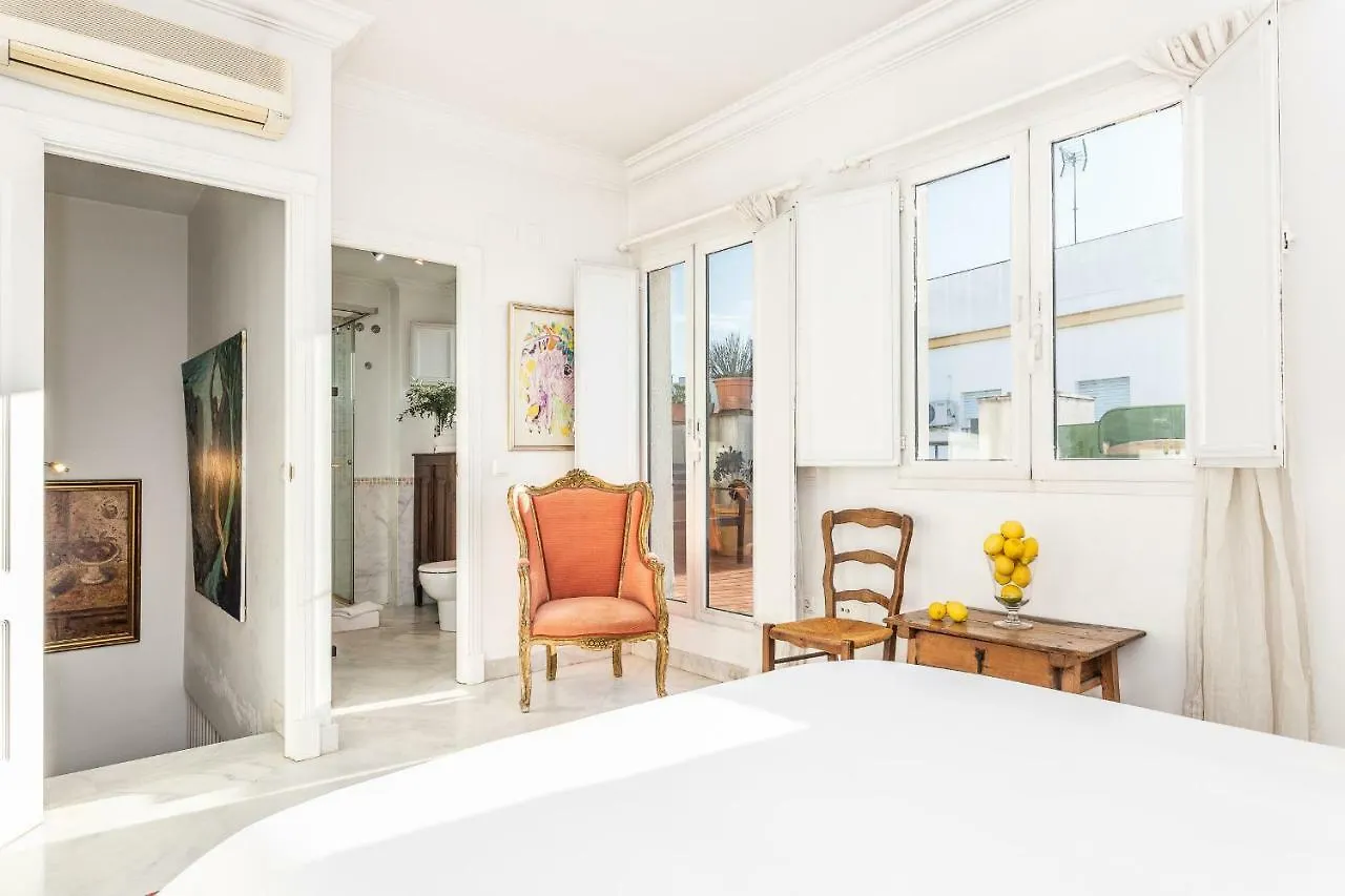 Waou Terrace Santa Cruz Apartment Seville