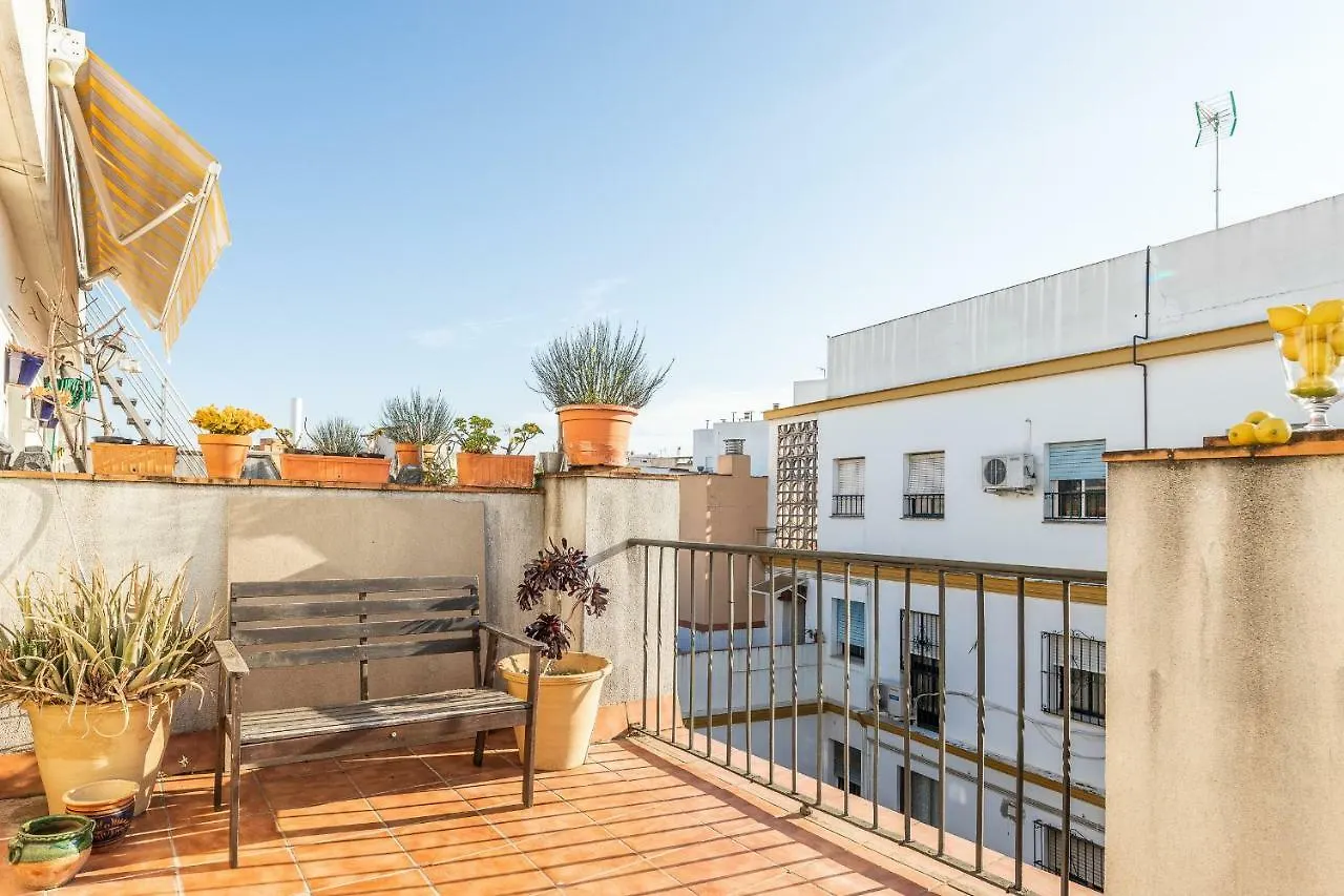 Waou Terrace Santa Cruz Apartment Seville